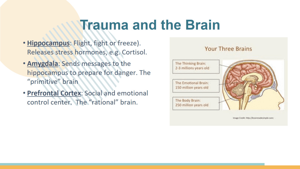 Here is a slide that I borrowed from a previous presentation and have since revamped.