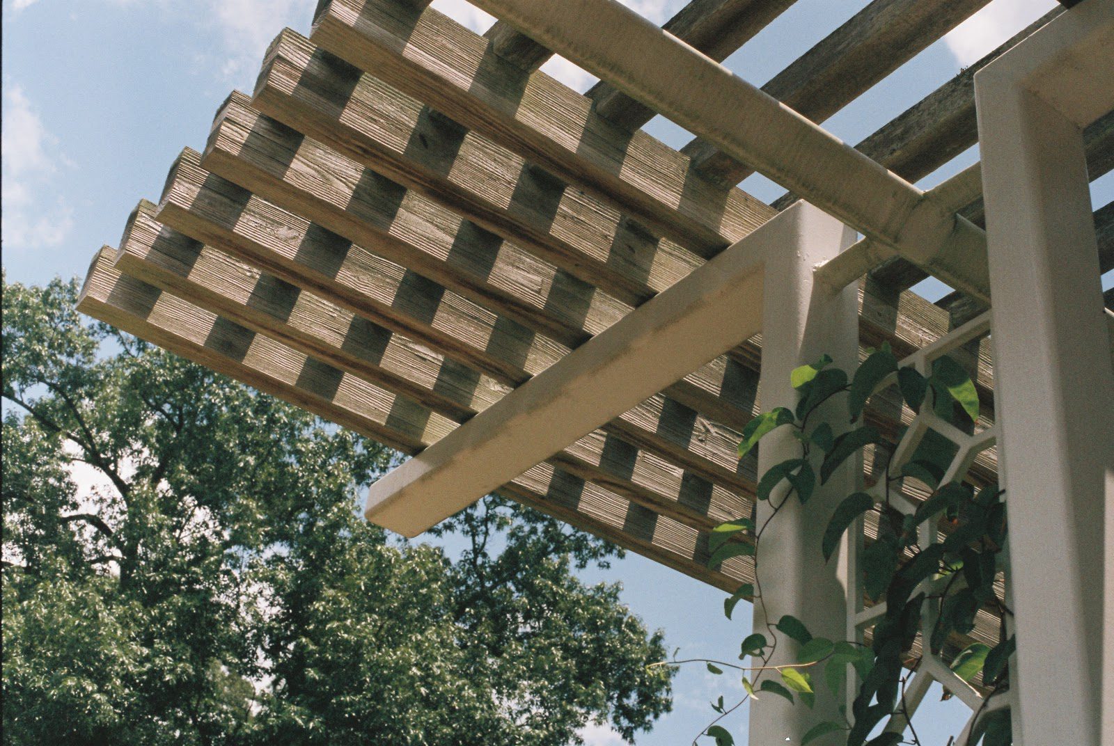 How Pergolas Add Value to Your Property