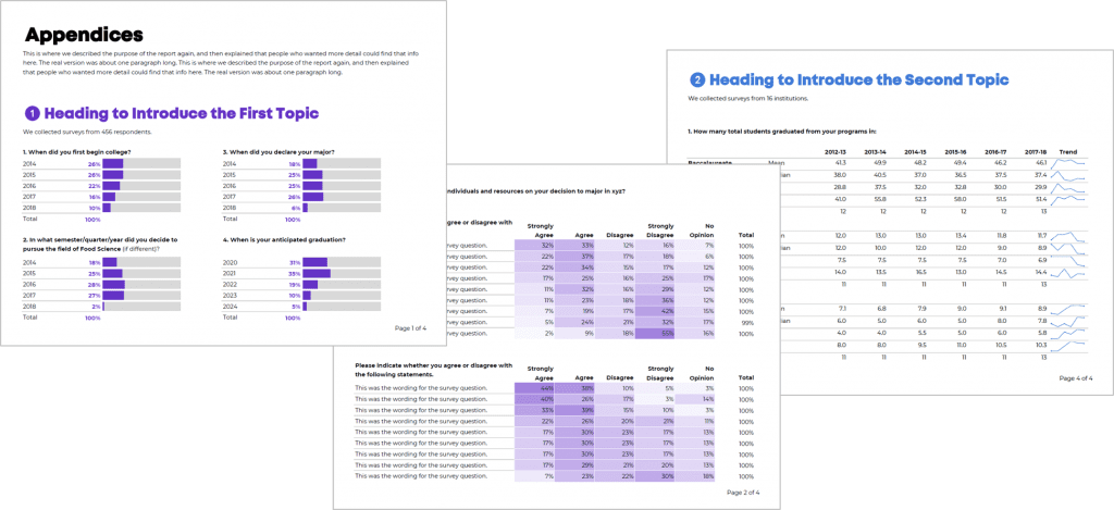 You can add unlimited visual appendices to your report. 