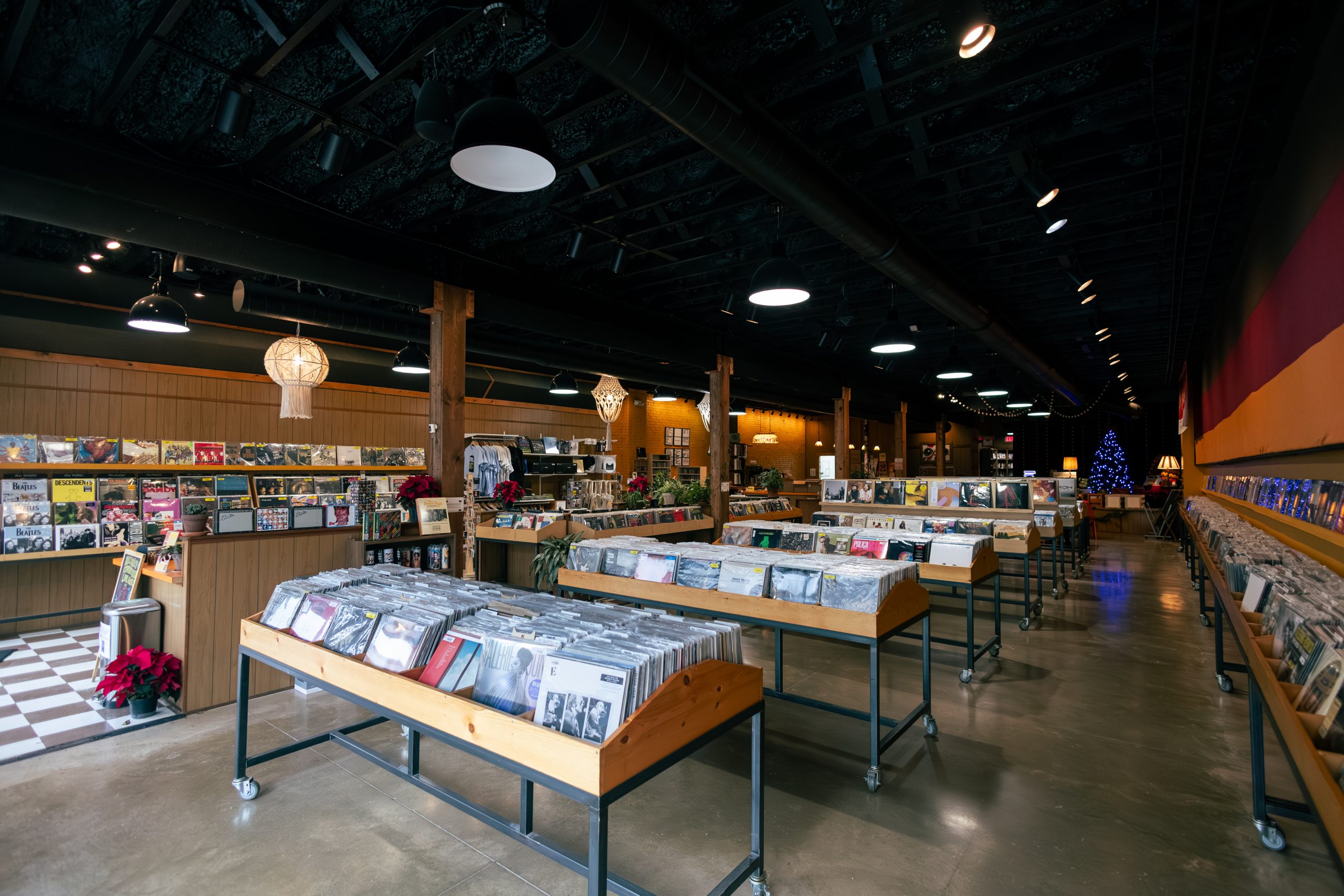 inside of square cat vinyl