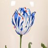 Tiffany & Co. "Tiffany Tulips" Porcelain Vase - Image 7