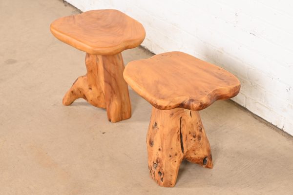 Organic Modern Burl Root Occasional Side Tables, Pair - Image 4
