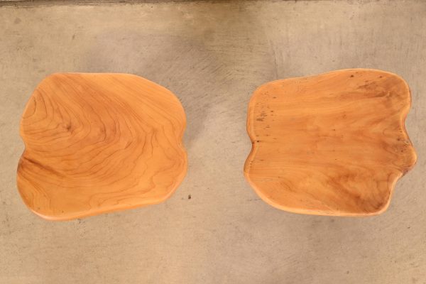 Organic Modern Burl Root Occasional Side Tables, Pair - Image 10