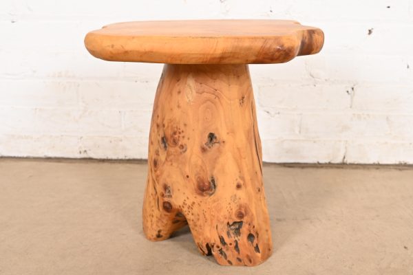 Organic Modern Burl Root Occasional Side Table - Image 8