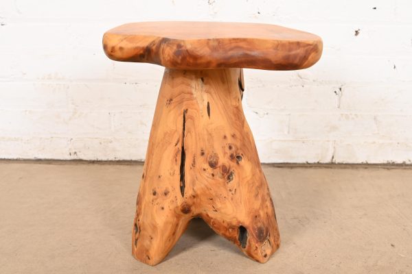 Organic Modern Burl Root Occasional Side Table - Image 7