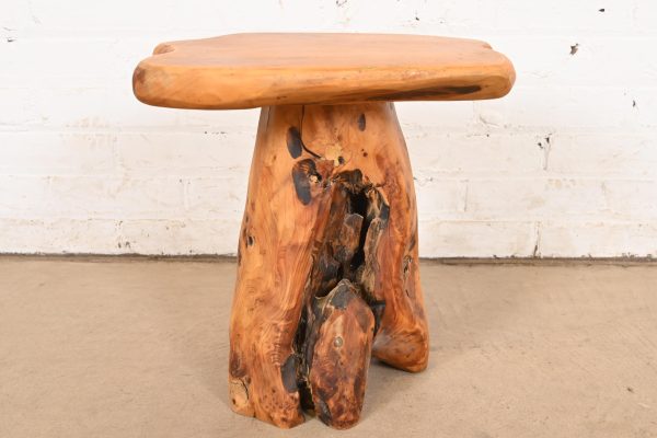 Organic Modern Burl Root Occasional Side Tables, Pair - Image 7