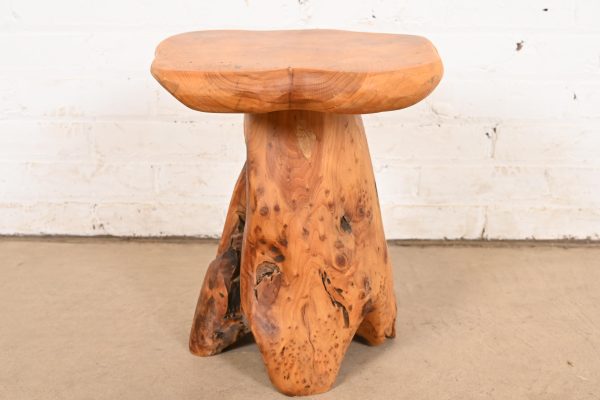 Organic Modern Burl Root Occasional Side Table - Image 6