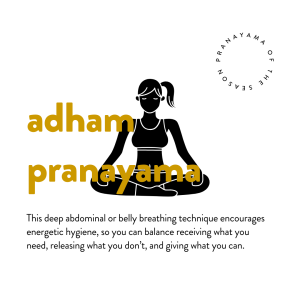 adham pranayama or belly / abdominal breathing