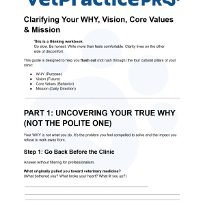 Clarifying Your WHY, Vision, Core Values & Mission