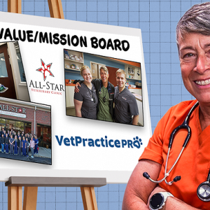 Defining Your Vision, Values, And Mission