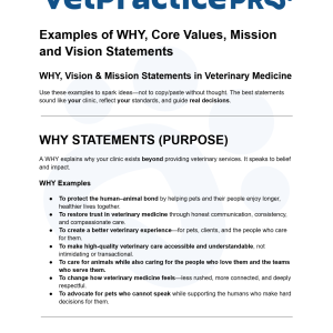 Examples of WHY, Core Values, Mission and Vision Statements