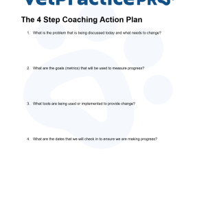 The 4 Step Coaching Action Plan