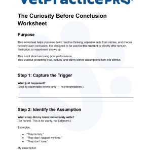 The Curiosity Before Conclusion Worksheet