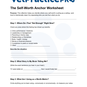 The Self-Worth Anchor Worksheet