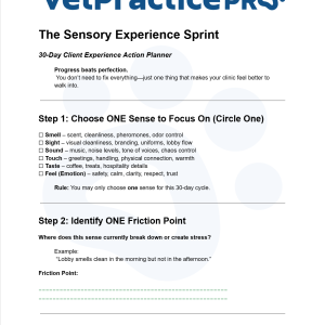 The Sensory Experience Sprint