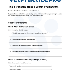 The Strengths-Based Worth Framework