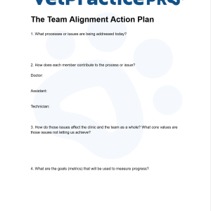 The Team Alignment Action Plan