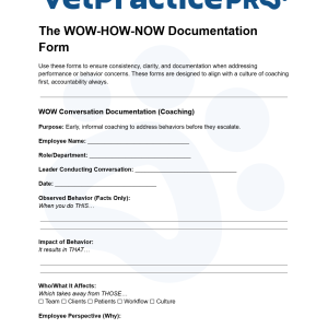 The WOW-HOW-NOW Documentation Form