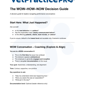 The WOW–HOW–NOW Decision Guide