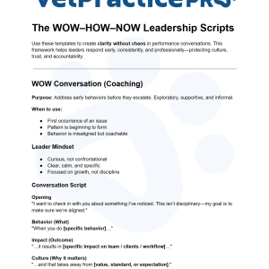 The WOW–HOW–NOW Leadership Scripts