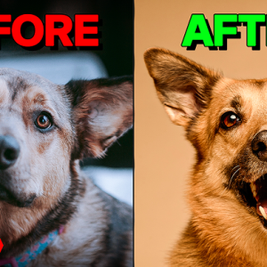 The Power of First and Last Impressions